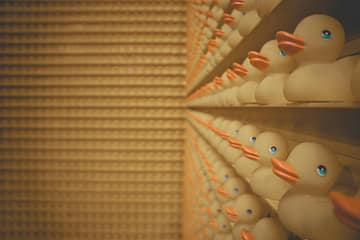 lined up of rubber duck on shelf